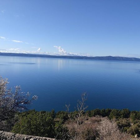 Apartman Krzenic With Sea View Podgora Exterior photo